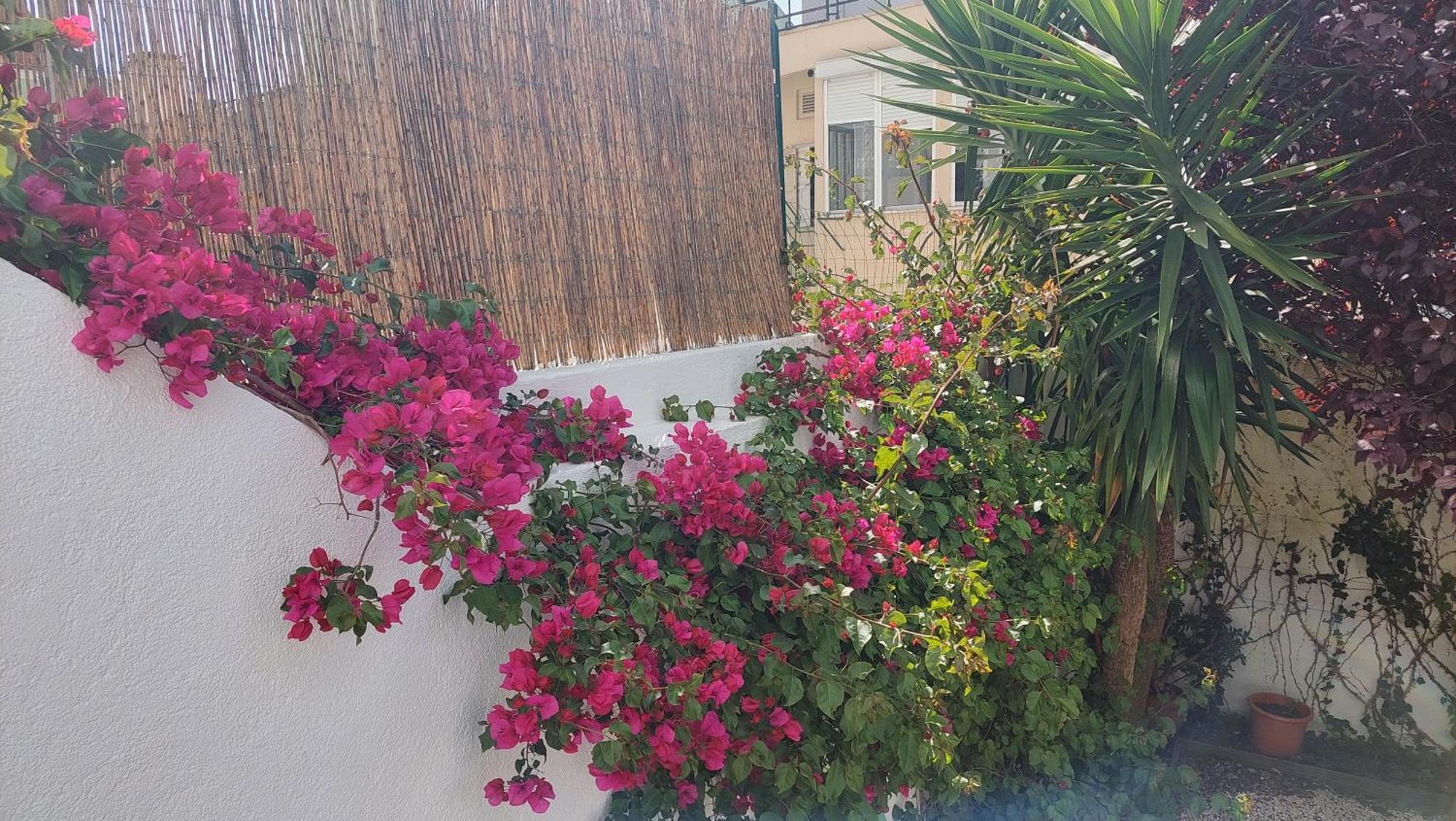 Apartment With Private Garden - Central Location Lisbon Exterior photo
